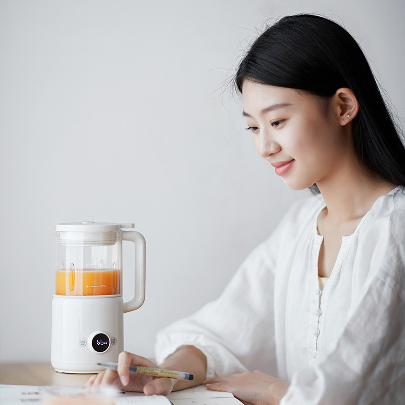 Mini Automatic Soy Milk Maker  – Soy Milk Maker Bewertung und Preis