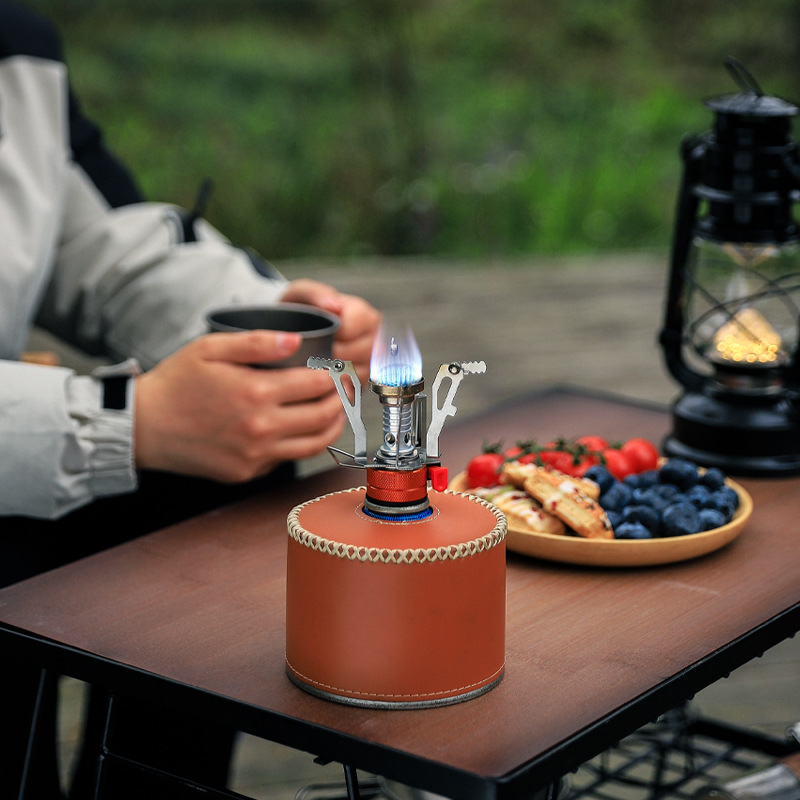 Portable Camping Stove with Pi – Kitchen Appliances Gas Stove Bewertung und Preis