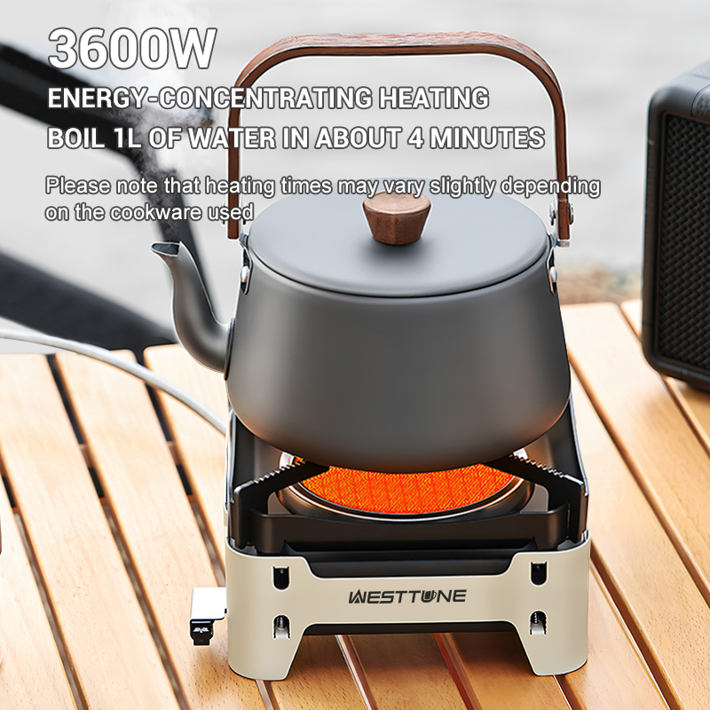 WESTTUNE Outdoor Infrared Comb – Kitchen Appliances Gas Stove Bewertung und Preis